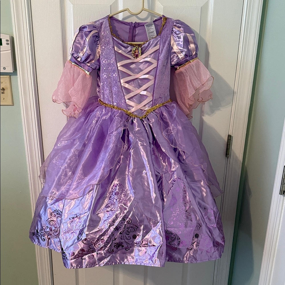 Disney Purple and Pink Princess Costume